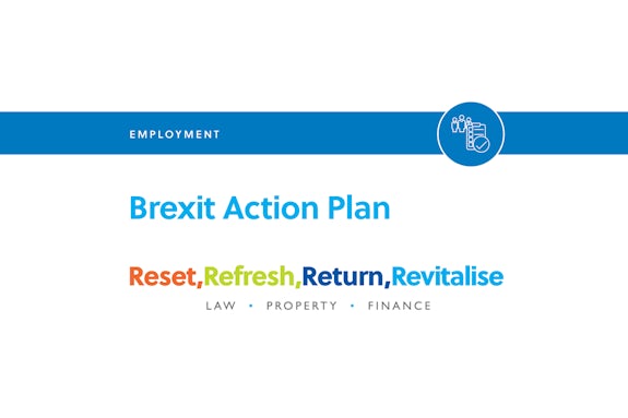Brexit Action Plan