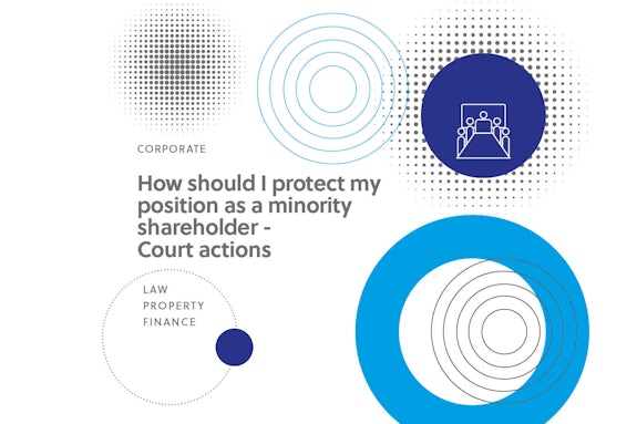 How Should I Protect My Position as A Minority Shareholder - Court Actions