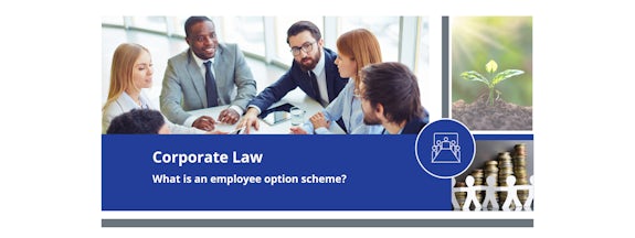 What is an employee option scheme?