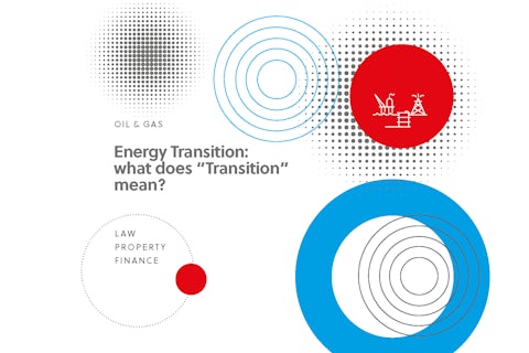 Energy Transition: what does “Transition” mean?