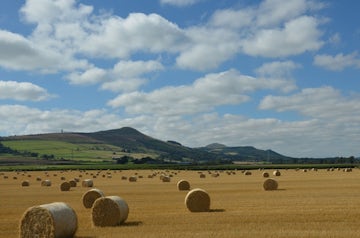 ,, , The Stackyard, High Street