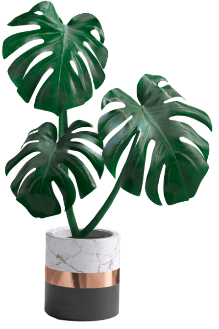 houses to rent in Airdrie