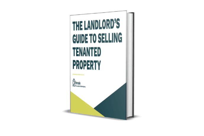 Grey Outline (2) (1)