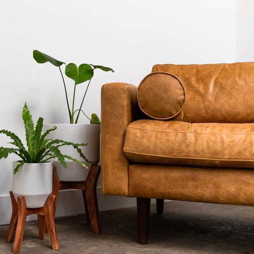 PLAIN IMAGE – PAVING THE WAY TO LIFE’S MILESTONES