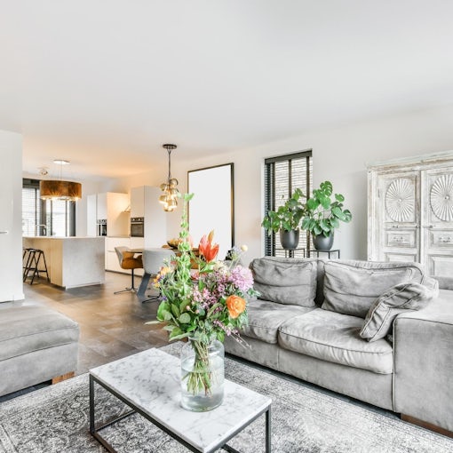 PLAIN IMAGE – UNDERSTANDING THE MARKET FOR TENANTS WITH CHILDREN AND PETS