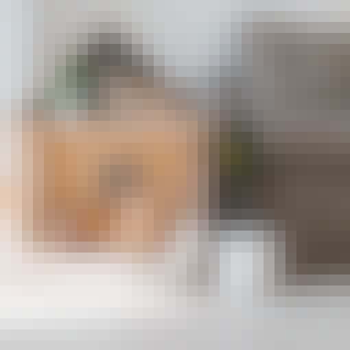 Cat in wooden cat house