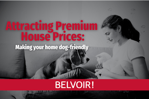 Attracting Premium House Prices Making Your Portsmouth Dog-Friendly