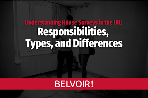 Understanding House Surveys in the UK