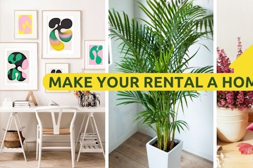 Make Your Rental a Home