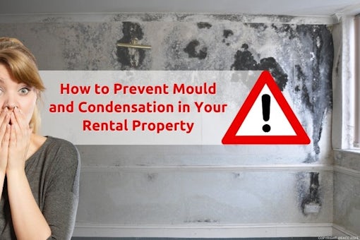 How to Prevent Mould and Condensation in Your Rental Property