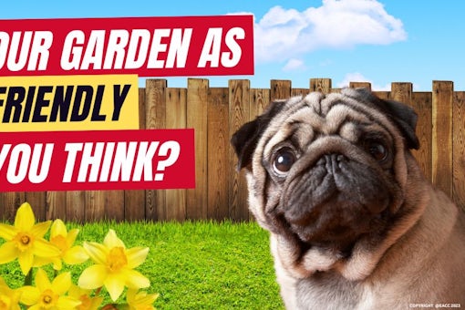 Is Your Garden as Dog-Friendly as You Think