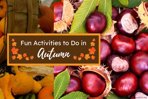Fun Activities to Do in Autumn