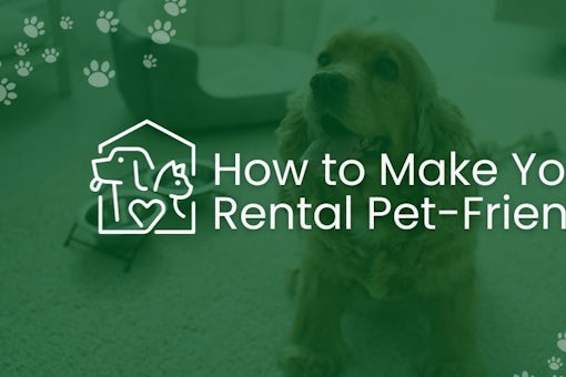 How to Make Your Rental Pet-Friendly
