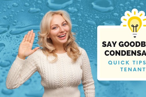 Say Goodbye to Condensation Quick Tips for Tenants