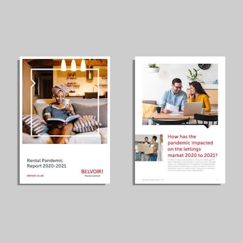 Pandemic-Report-website-visual