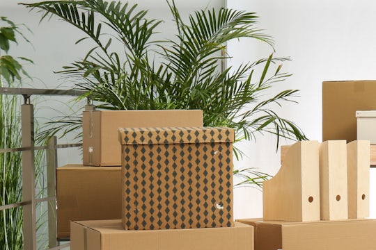 Cardboard boxes full of items as you prepare to move house