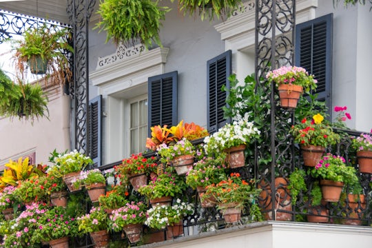 Small space gardening - balcony with flowers in a pot.