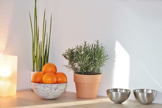 Kitchen table with fruits and pot with herbs.