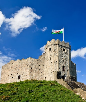Cardiff castle resized