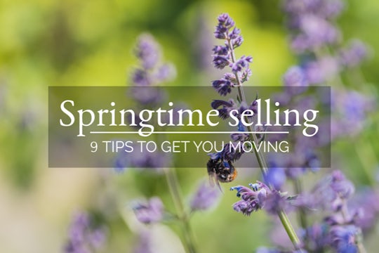 Main-Blog-Image-Springtime-selling-1