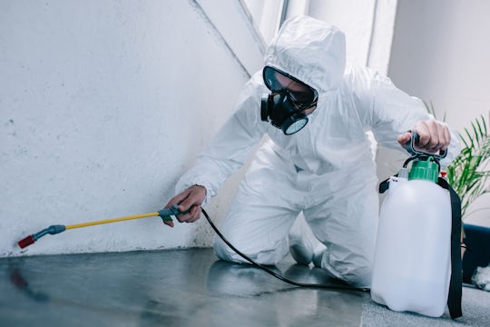 Pest control specialist spraying a house for rent.