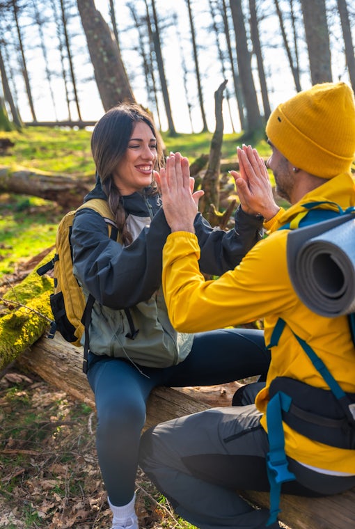 Hikers giving high five while sitting on fallen tree trunk in forest